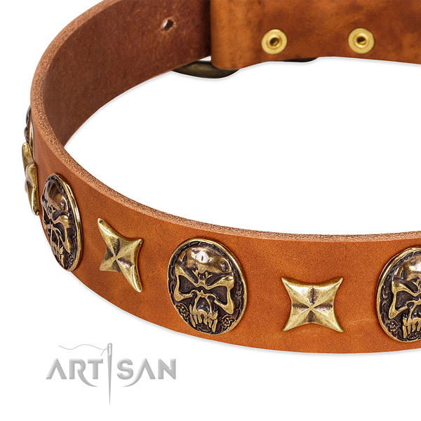 Durable decorations on natural genuine leather dog collar for your canine