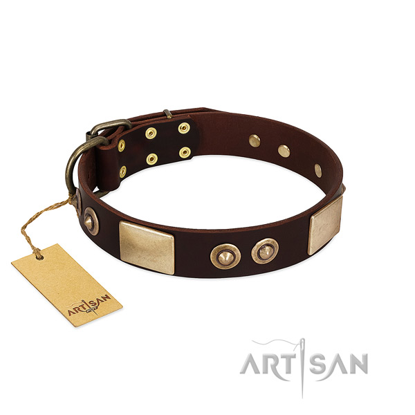 Easy wearing full grain leather dog collar for stylish walking your canine