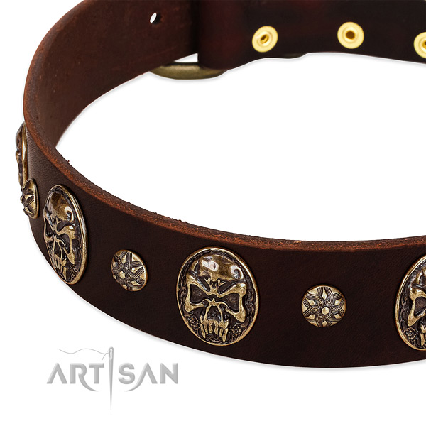 Reliable decorations on full grain natural leather dog collar for your pet
