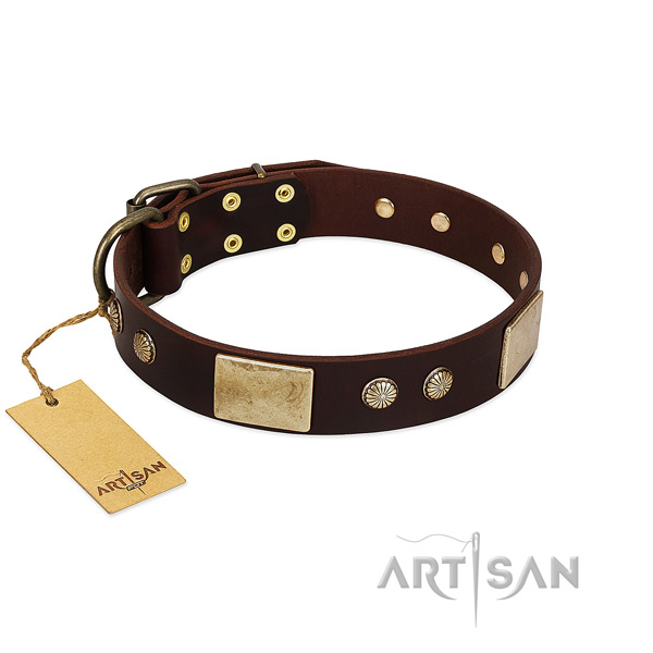 Easy wearing leather dog collar for stylish walking your doggie