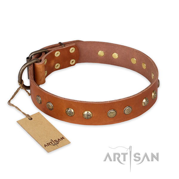 Fine quality leather dog collar with strong traditional buckle