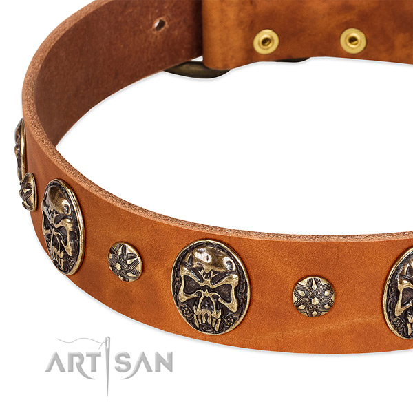 Reliable adornments on full grain genuine leather dog collar for your doggie