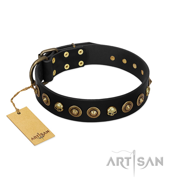 Genuine leather collar with designer decorations for your dog