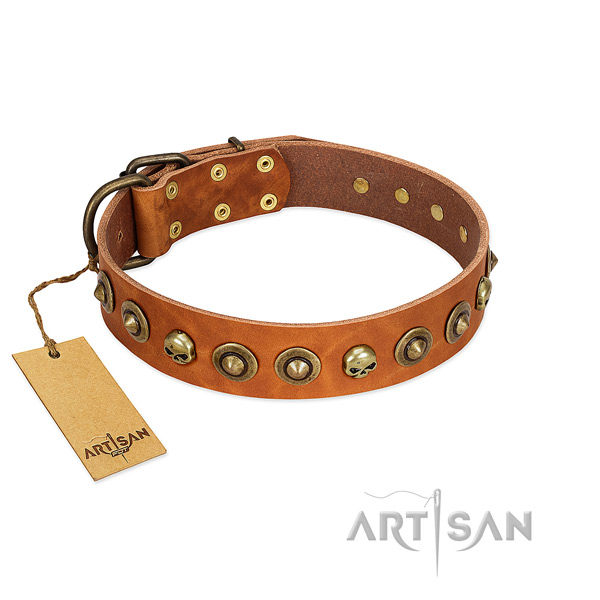 Full grain natural leather collar with impressive decorations for your dog
