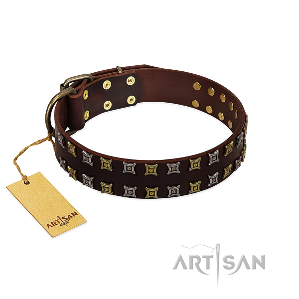 Strong full grain genuine leather dog collar with decorations for your four-legged friend
