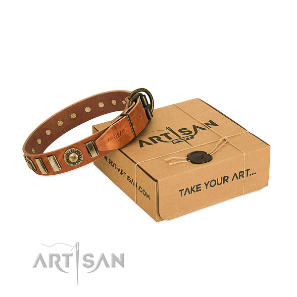 Top rate genuine leather dog collar with corrosion proof fittings