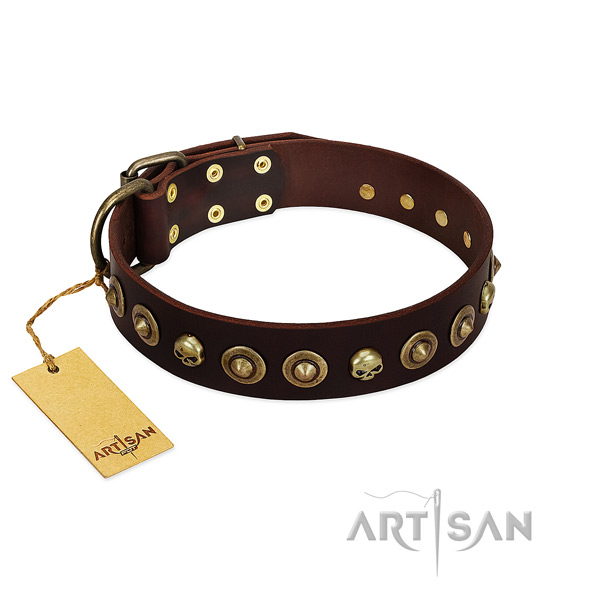 Leather collar with unusual decorations for your dog