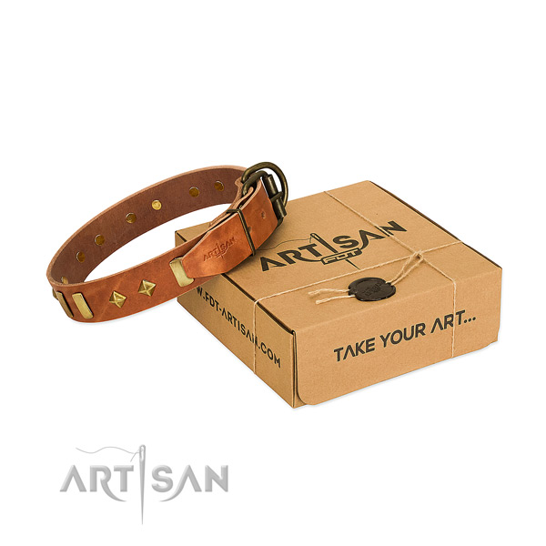 Comfy wearing high quality full grain leather dog collar with adornments