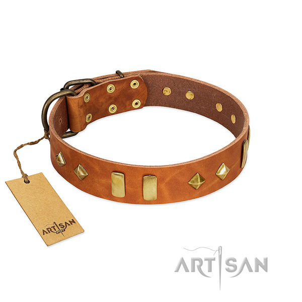 Daily walking top rate full grain leather dog collar with studs