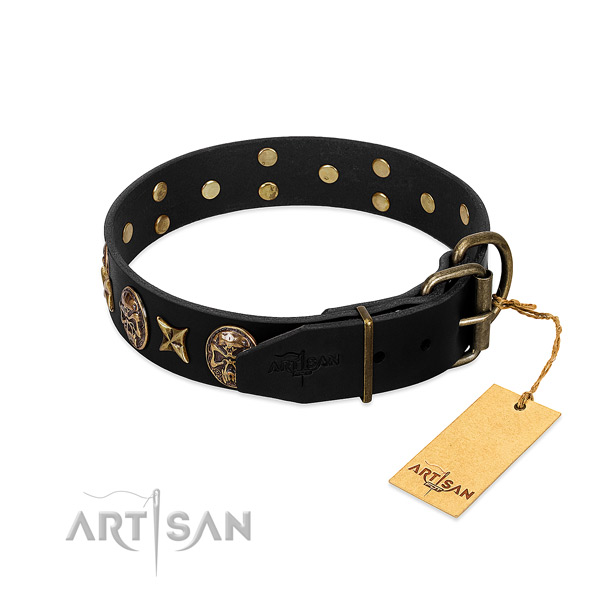 Corrosion proof adornments on full grain natural leather dog collar for your canine