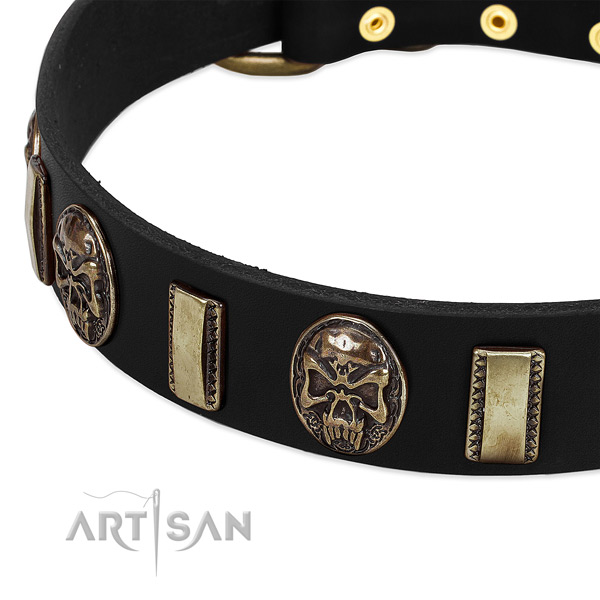 Reliable adornments on leather dog collar for your four-legged friend