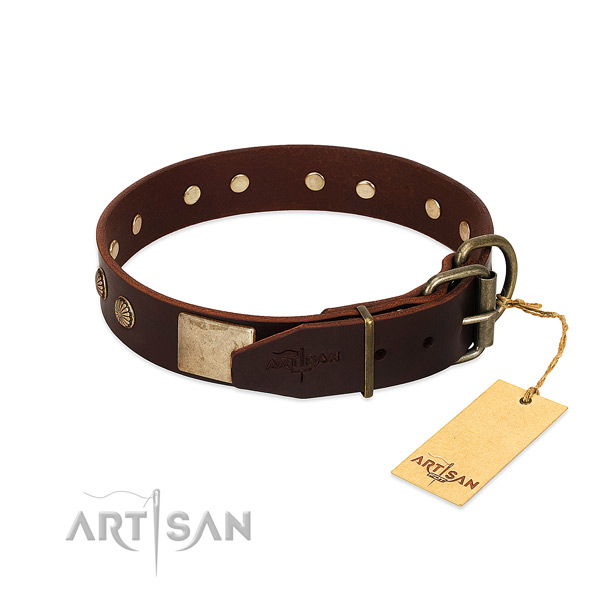 Rust resistant traditional buckle on handy use dog collar