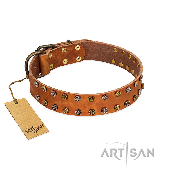 Fancy walking best quality natural leather dog collar with studs