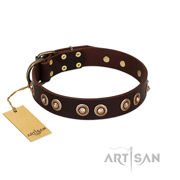 Reliable decorations on full grain genuine leather dog collar for your doggie