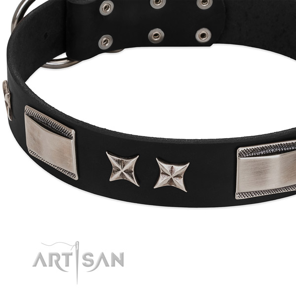 Quality genuine leather dog collar with reliable fittings