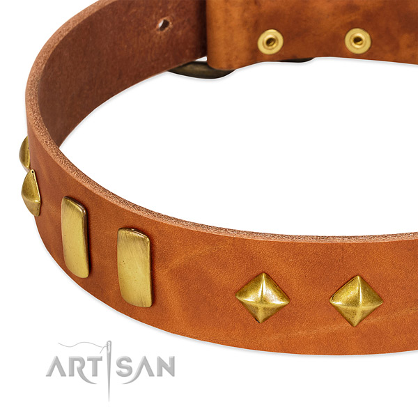 Daily use natural leather dog collar with designer adornments