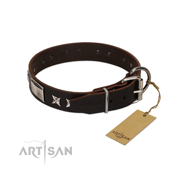 Trendy collar of full grain natural leather for your lovely dog