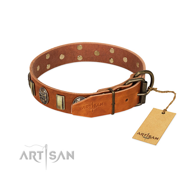 Genuine leather dog collar with strong hardware and adornments