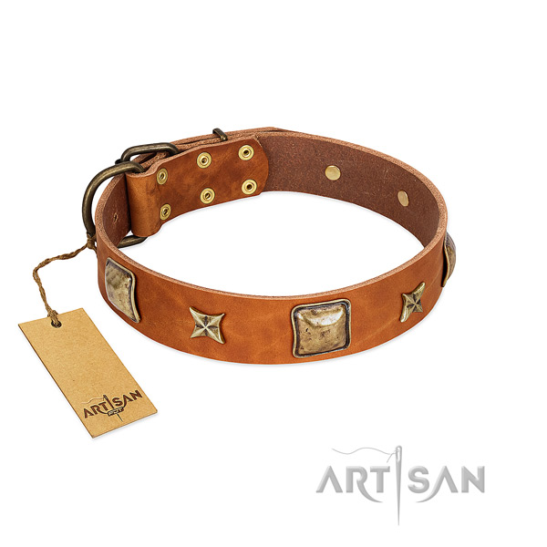 Fashionable full grain leather collar for your doggie