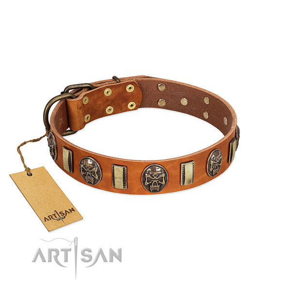 Fine quality genuine leather dog collar for comfy wearing