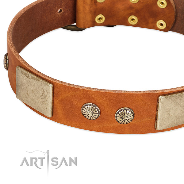 Corrosion resistant adornments on full grain leather dog collar for your four-legged friend