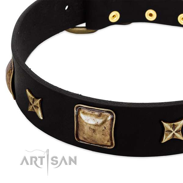 Full grain natural leather dog collar with stylish decorations