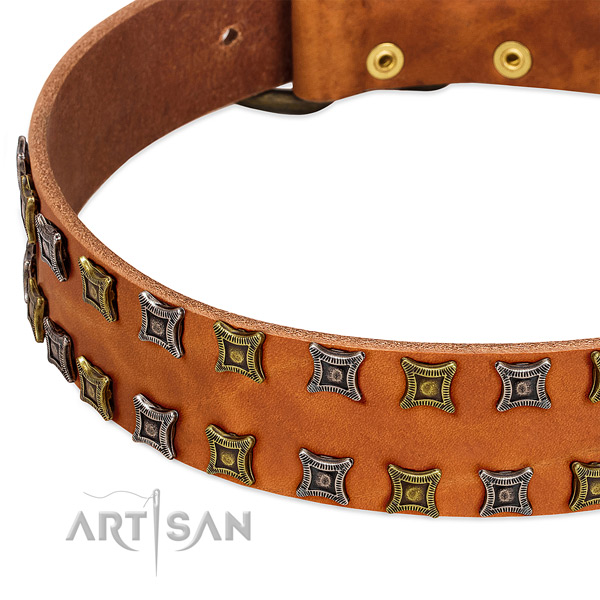 Top rate full grain genuine leather dog collar for your lovely pet
