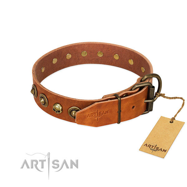 Full grain genuine leather collar with unusual embellishments for your four-legged friend