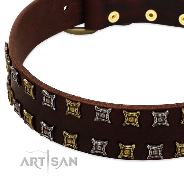 Flexible full grain natural leather dog collar for your impressive dog