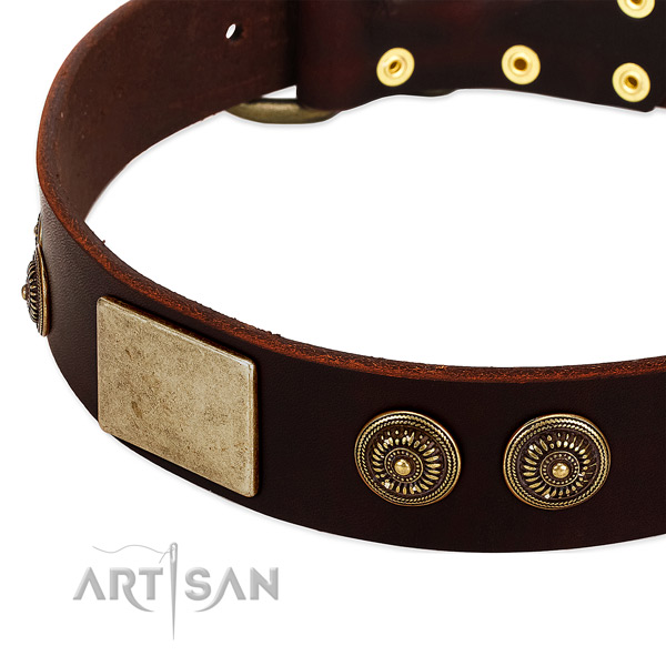 Rust resistant decorations on leather dog collar for your dog