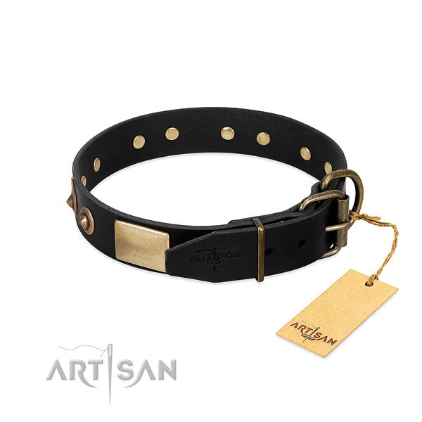 Rust-proof traditional buckle on daily walking dog collar