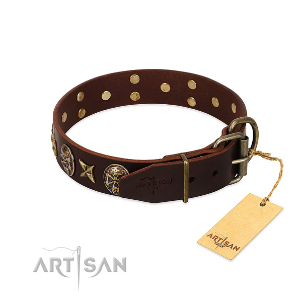 Durable embellishments on full grain natural leather dog collar for your canine