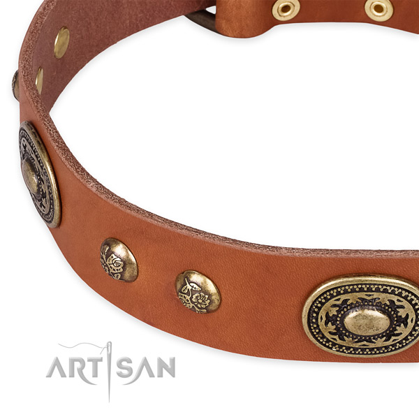 Stunning natural leather collar for your lovely dog
