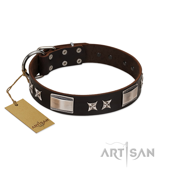 Amazing dog collar of full grain genuine leather