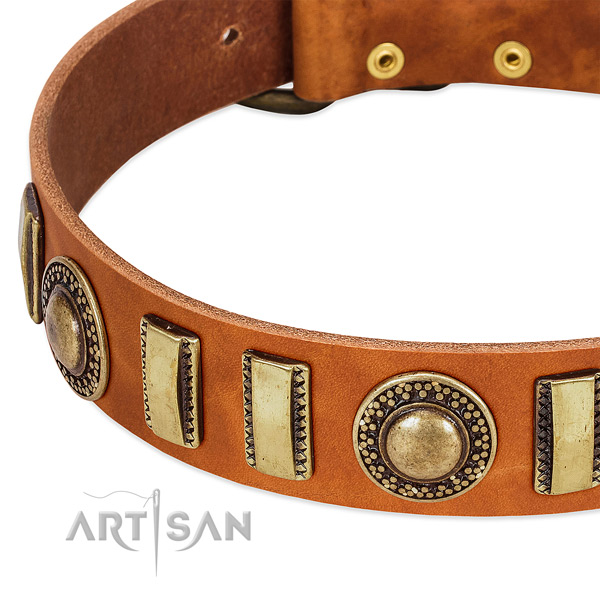 Top notch full grain genuine leather dog collar with durable buckle