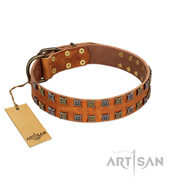 Gentle to touch full grain leather dog collar with decorations for your doggie