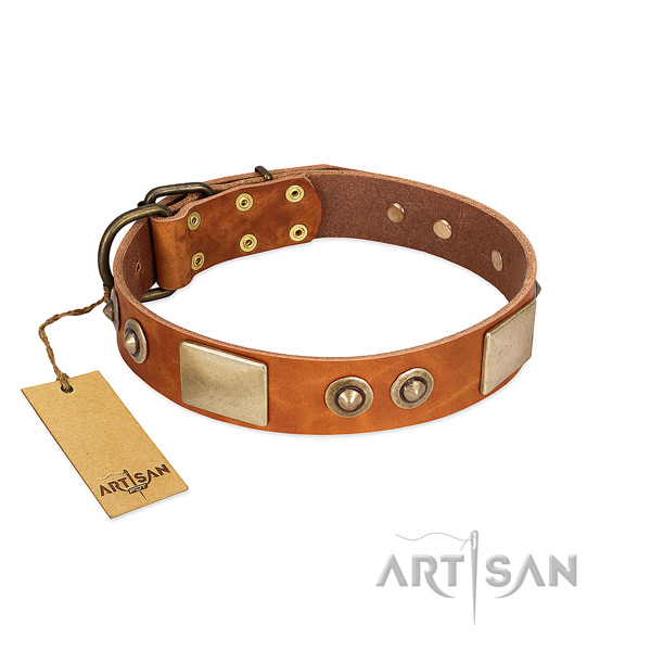 Easy wearing full grain genuine leather dog collar for walking your four-legged friend