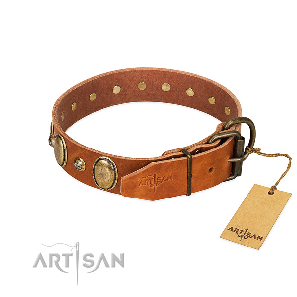 Amazing full grain genuine leather dog collar with rust resistant traditional buckle