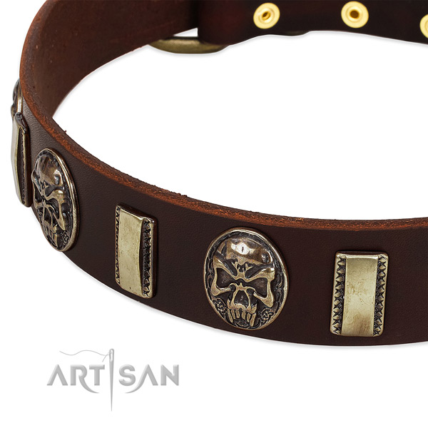 Reliable embellishments on genuine leather dog collar for your pet