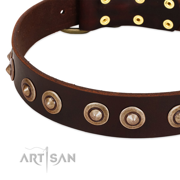 Rust-proof studs on full grain leather dog collar for your dog