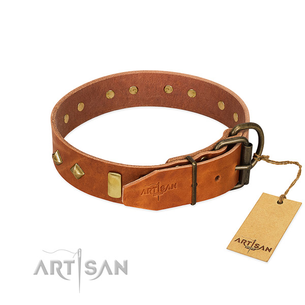 Fancy walking full grain genuine leather dog collar with impressive decorations