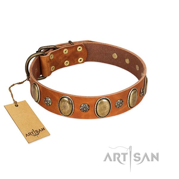 Stylish walking soft genuine leather dog collar with adornments