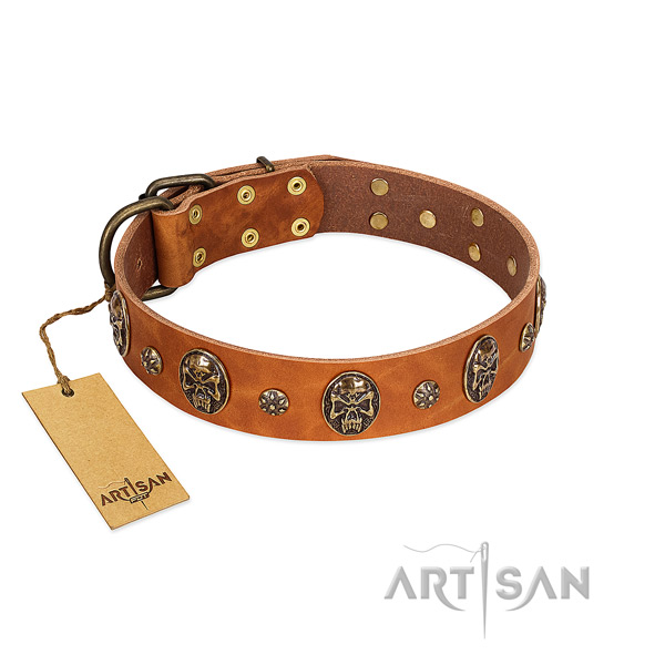 Easy wearing full grain leather collar for your four-legged friend