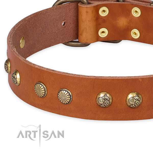 Full grain leather collar with corrosion proof buckle for your stylish four-legged friend