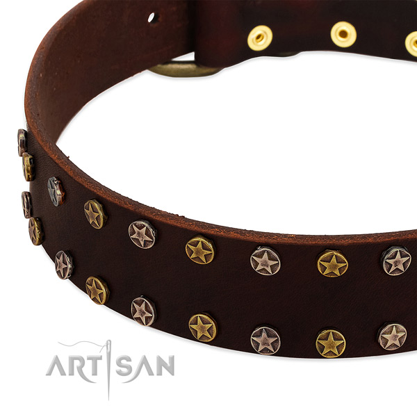 Stylish walking full grain leather dog collar with incredible embellishments
