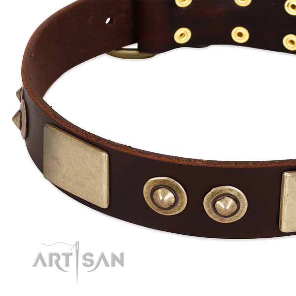 Strong embellishments on full grain natural leather dog collar for your four-legged friend