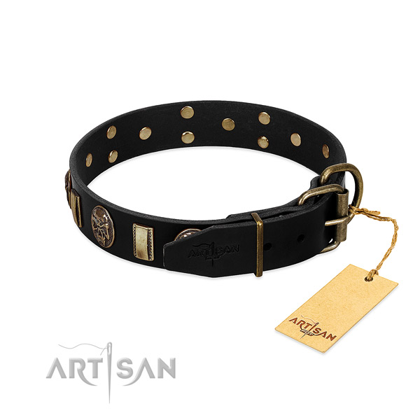 Full grain natural leather dog collar with strong buckle and embellishments