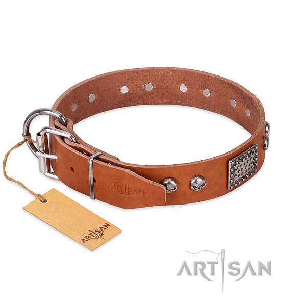 Corrosion resistant traditional buckle on walking dog collar