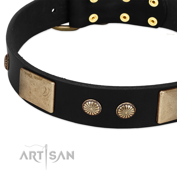 Genuine leather dog collar with studs for everyday walking