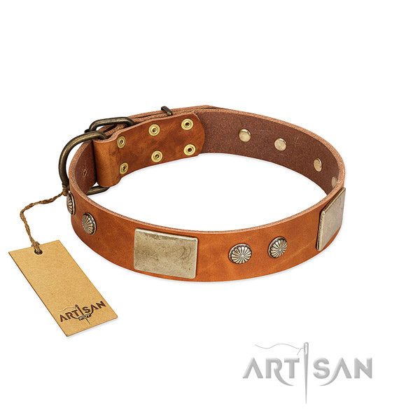 Easy adjustable full grain natural leather dog collar for basic training your four-legged friend
